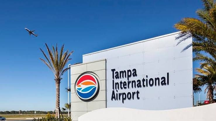 Tampa Airport Marriott: What to Know Before Booking a Stay
